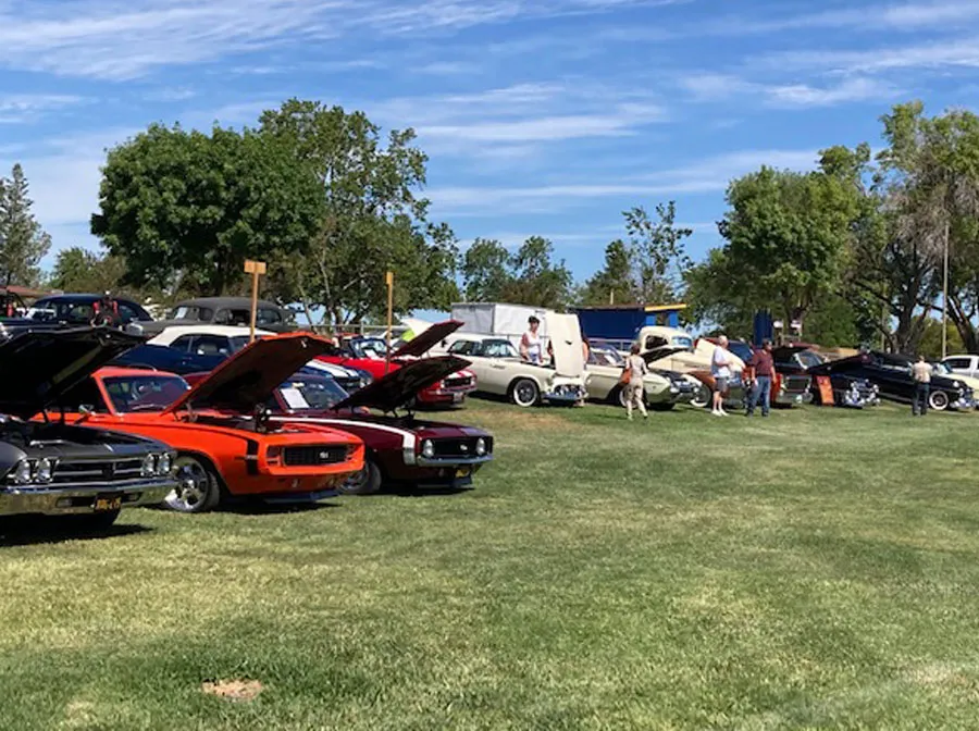 Picture of car show, row of cars against the end of a field